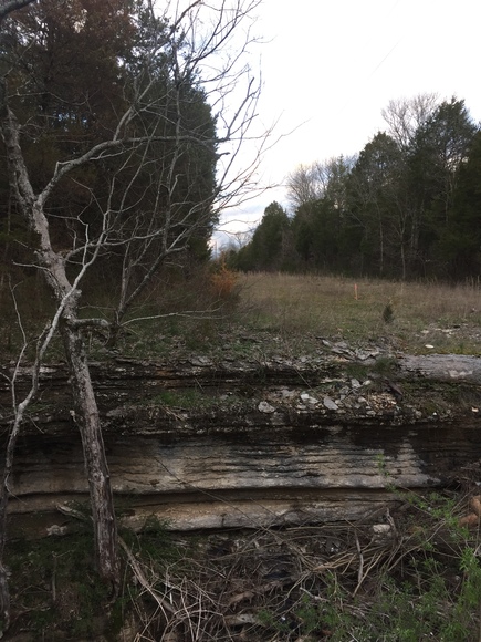 Image for 114 Acres / Morgan Rd., Rockvale, TN 37153