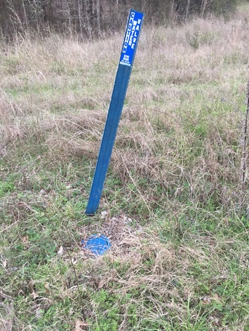 Image for 114 Acres / Morgan Rd., Rockvale, TN 37153