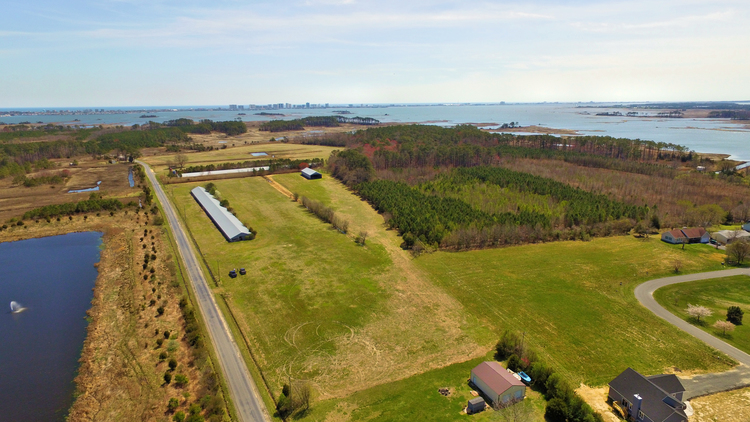 Image for Poultry FARM 55+ ACRES