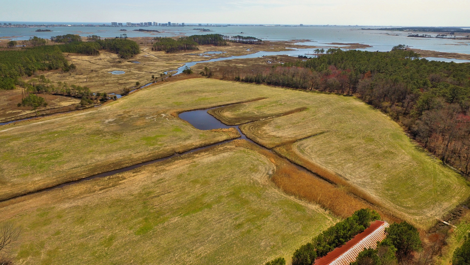 Image for Poultry FARM 55+ ACRES