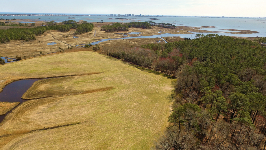 Image for Poultry FARM 55+ ACRES