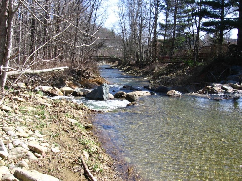 4.9 Acres on Watauga River
