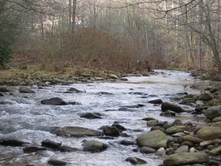 4.9 Acres on Watauga River