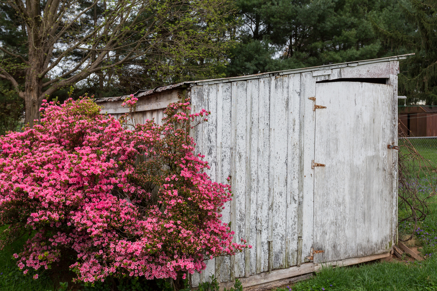 Image for 408 Bruce Street, Bridgewater