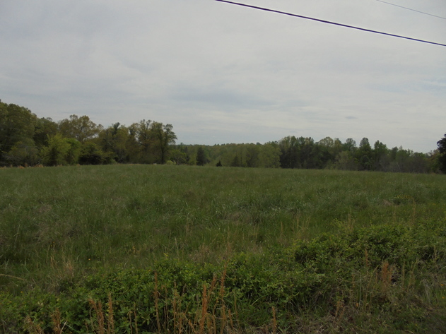 Image for 25.87 AC Vacant Land Auction (Forest Oaks Area)