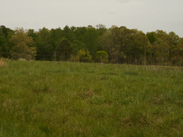 Image for 25.87 AC Vacant Land Auction (Forest Oaks Area)