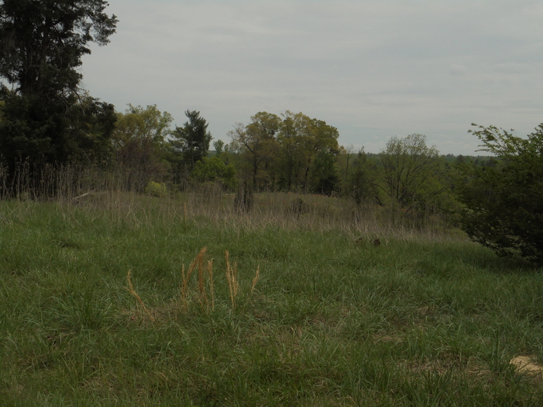 Image for 25.87 AC Vacant Land Auction (Forest Oaks Area)