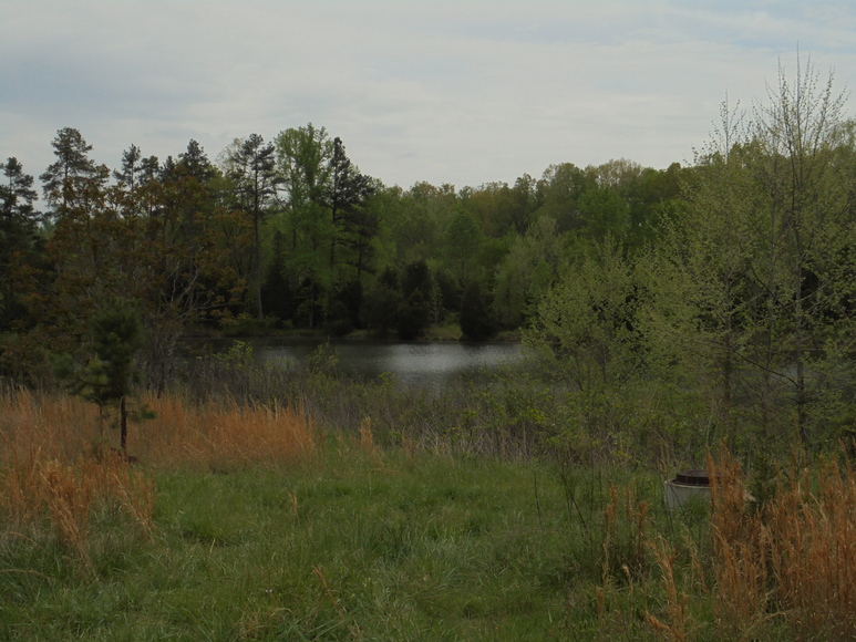 Image for 25.87 AC Vacant Land Auction (Forest Oaks Area)