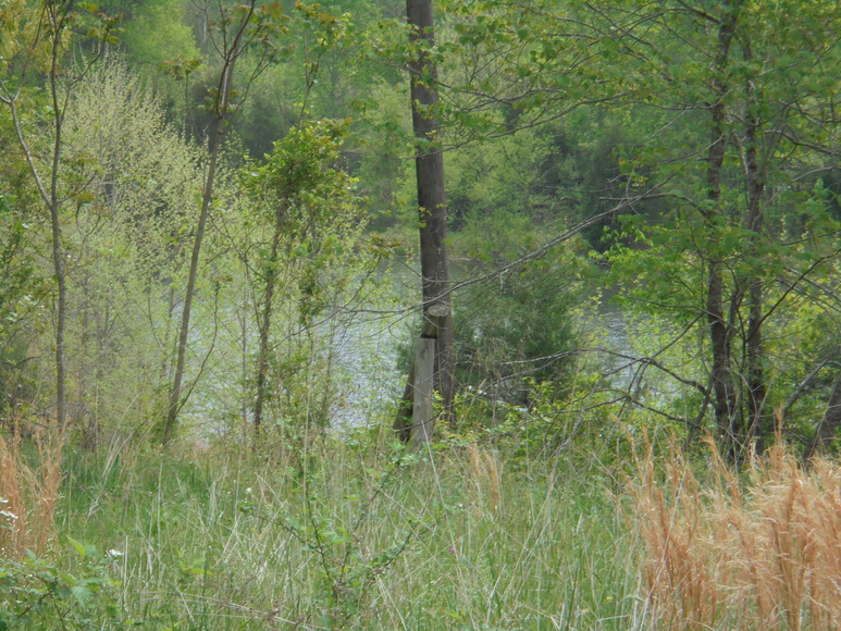 Image for 25.87 AC Vacant Land Auction (Forest Oaks Area)