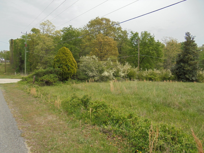 Image for 25.87 AC Vacant Land Auction (Forest Oaks Area)