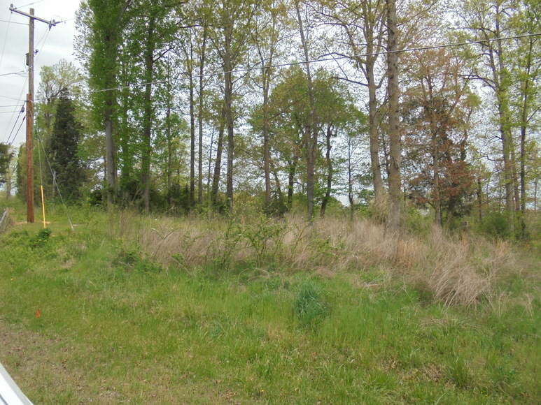 Image for 25.87 AC Vacant Land Auction (Forest Oaks Area)