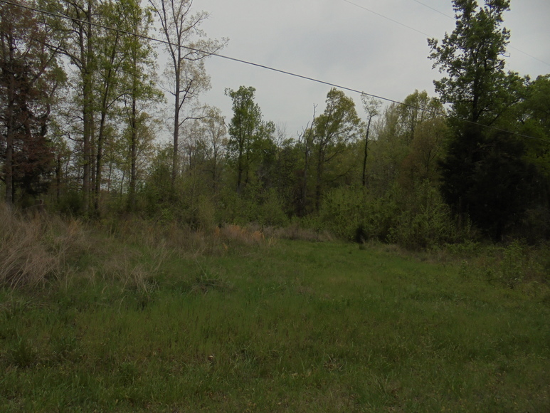 Image for 25.87 AC Vacant Land Auction (Forest Oaks Area)