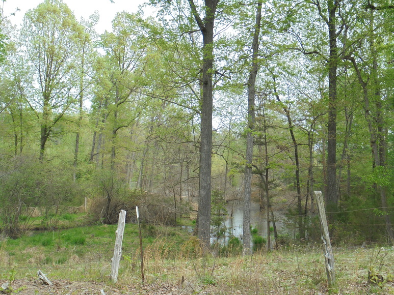 Image for 25.87 AC Vacant Land Auction (Forest Oaks Area)