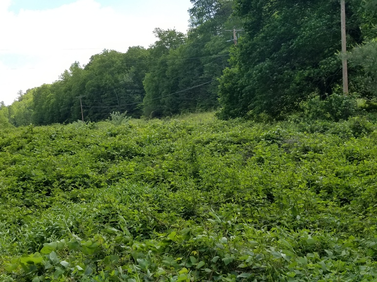 Image for Commissioner's Sale - Real Estate in Patrick County, Virginia