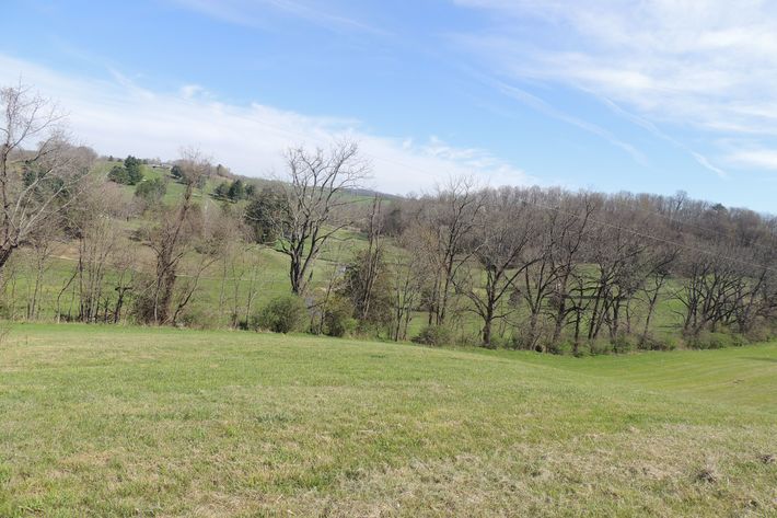 Image for Three Prime Building Lots with Acreage