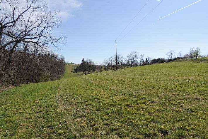 Image for Three Prime Building Lots with Acreage