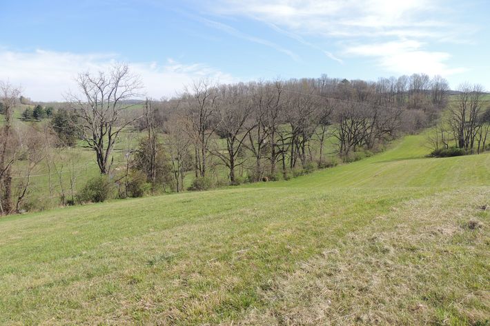 Image for Three Prime Building Lots with Acreage