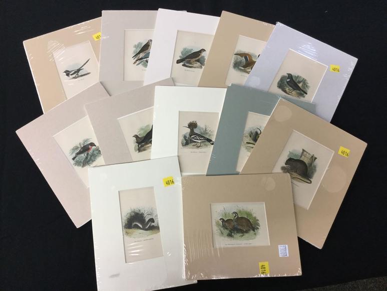 Image for Discovery Art Auction