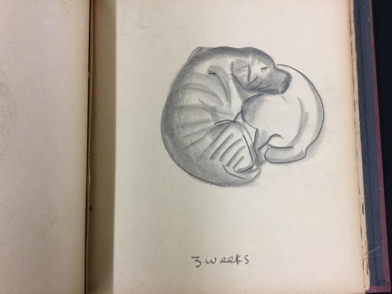 Image for Discovery Art Auction