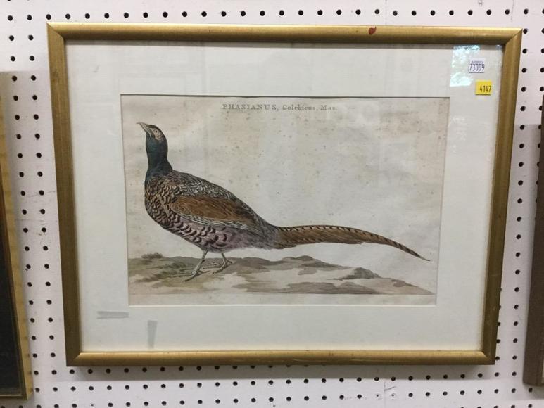 Image for Discovery Art Auction