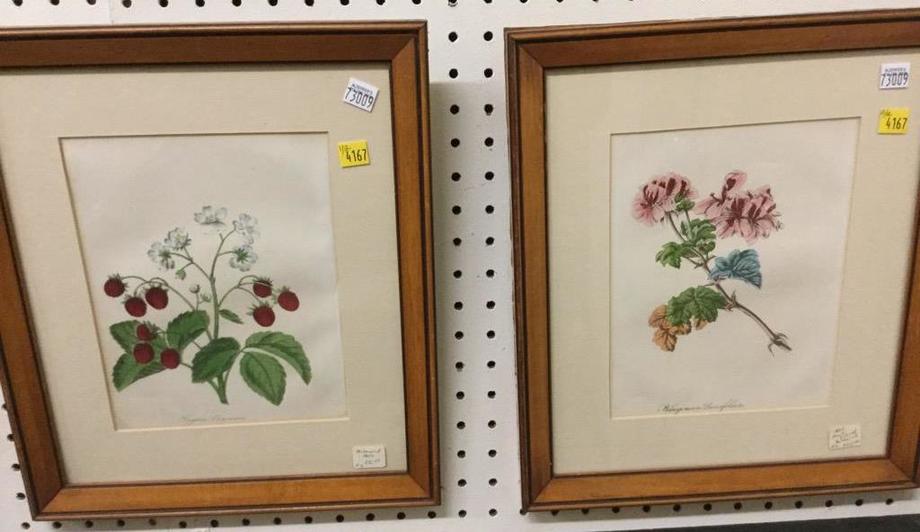 Image for Discovery Art Auction