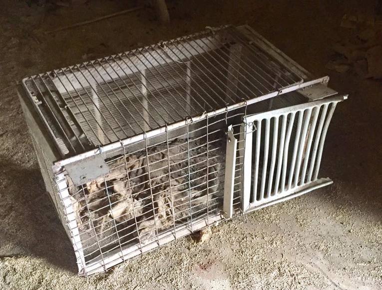 Image for Jatzlau ON-SITE Estate Auction - Lexington/Fedor, TX