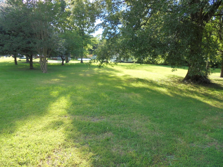 Image for 2-Real Estate Auctions & Personal Property Estate Auctions