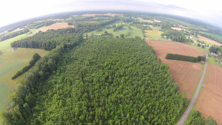 Image for 50 Acres in Surry County, NC