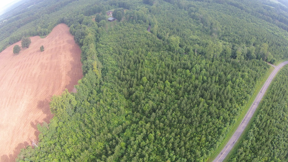 Image for 50 Acres in Surry County, NC