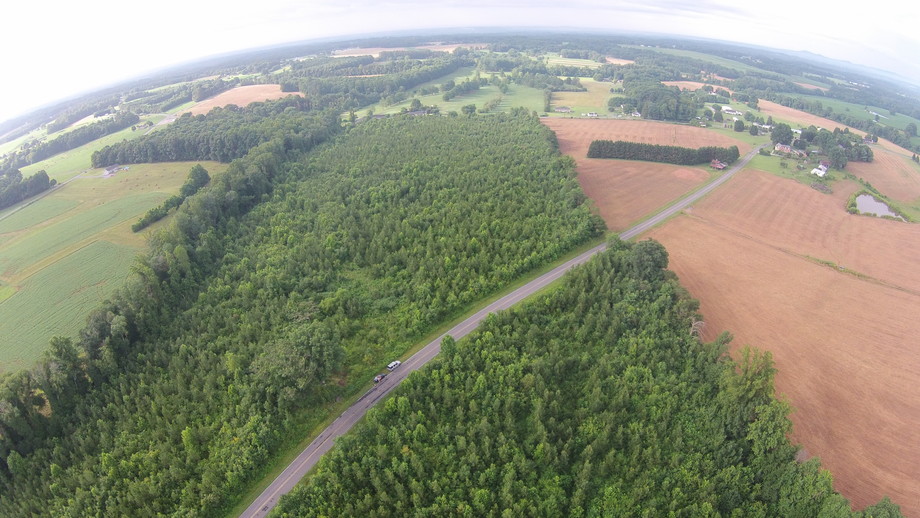 Image for 50 Acres in Surry County, NC