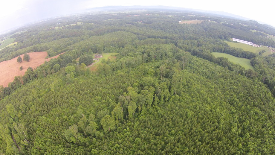 Image for 50 Acres in Surry County, NC