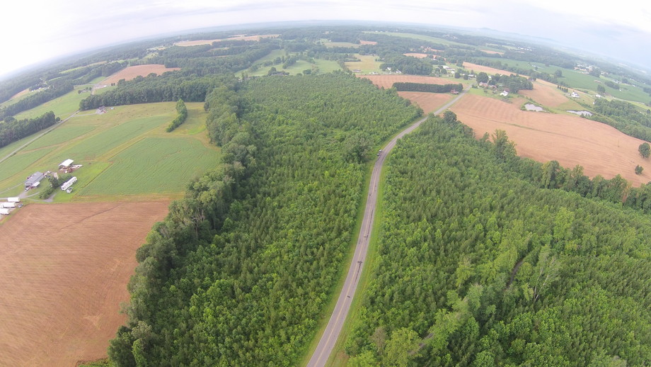 Image for 50 Acres in Surry County, NC