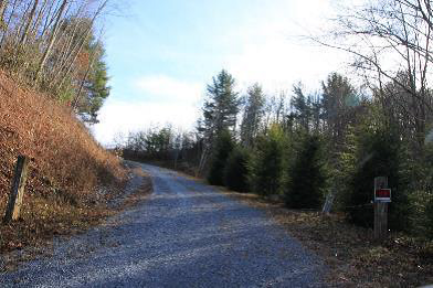 Image for The Reserve - Roan Mountain Tennessee