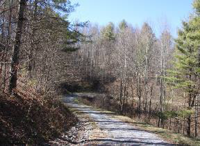 Image for The Reserve - Roan Mountain Tennessee