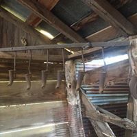 Image for Jatzlau ON-SITE Estate Auction - Lexington/Fedor, TX