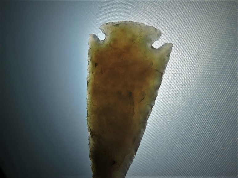 Image for ARROWHEADS AND ANTLERS