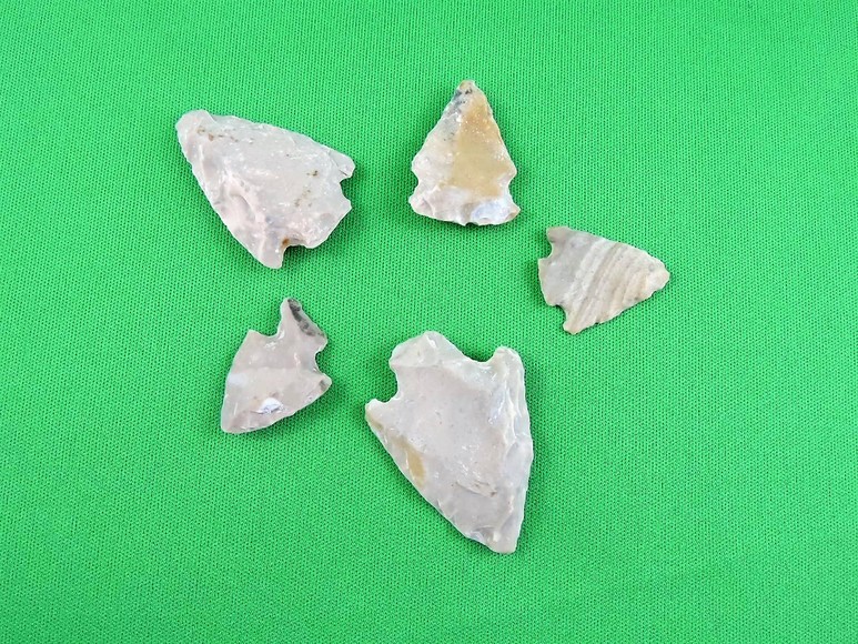 Image for ARROWHEADS AND ANTLERS