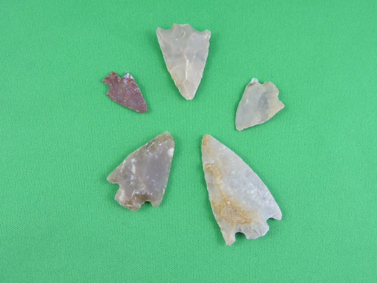 Image for ARROWHEADS AND ANTLERS