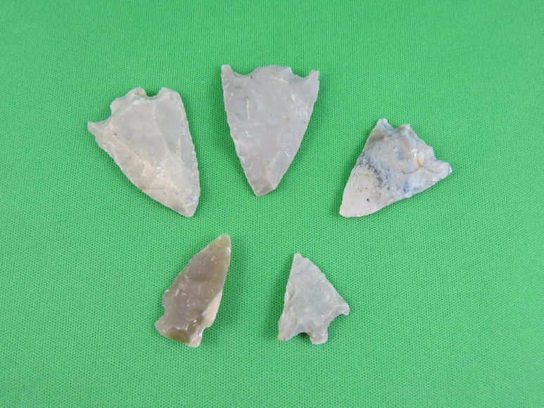 Image for ARROWHEADS AND ANTLERS