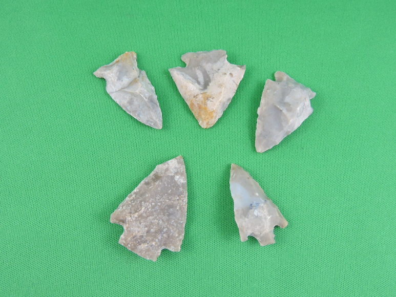 Image for ARROWHEADS AND ANTLERS