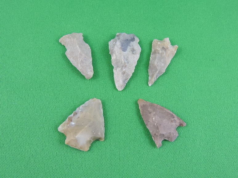 Image for ARROWHEADS AND ANTLERS