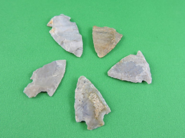 Image for ARROWHEADS AND ANTLERS