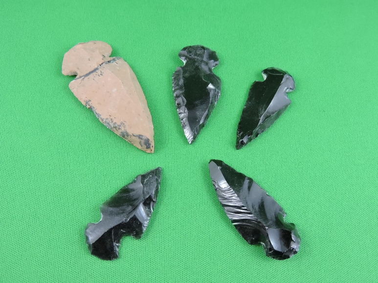 Image for ARROWHEADS AND ANTLERS