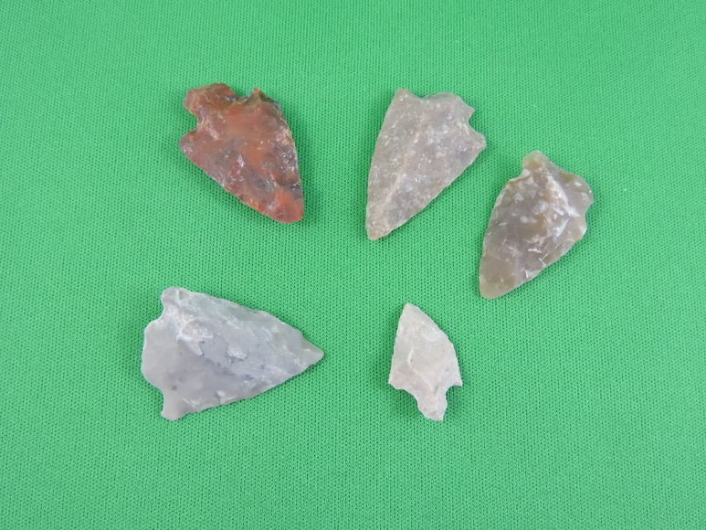 Image for ARROWHEADS AND ANTLERS