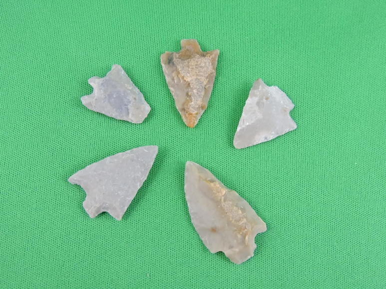 Image for ARROWHEADS AND ANTLERS