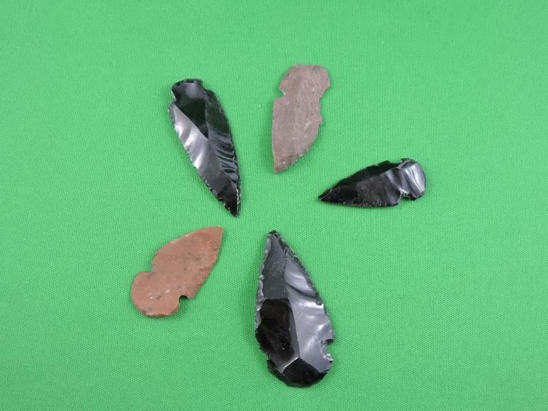 Image for ARROWHEADS AND ANTLERS