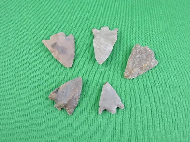 Image for ARROWHEADS AND ANTLERS