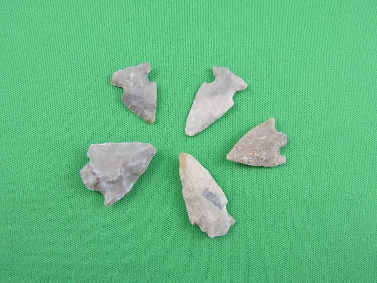 Image for ARROWHEADS AND ANTLERS