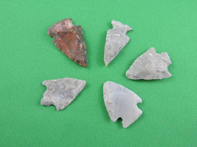 Image for ARROWHEADS AND ANTLERS