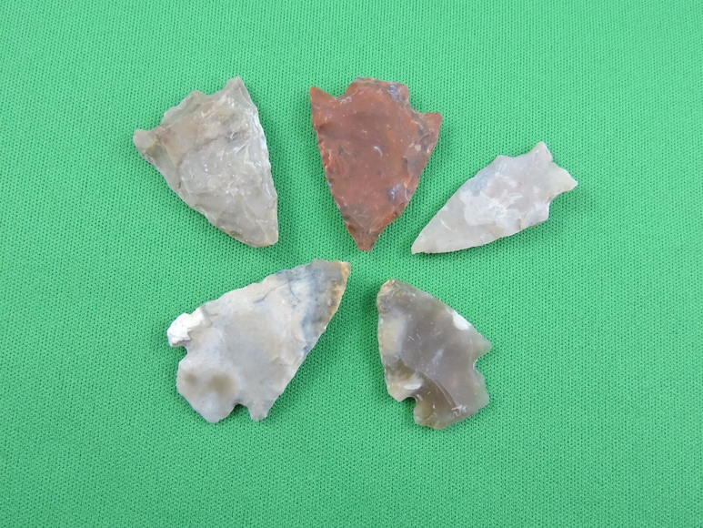 Image for ARROWHEADS AND ANTLERS
